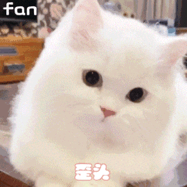 圖片關(guān)鍵詞 圖片