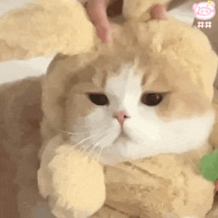 圖片關鍵詞 圖片