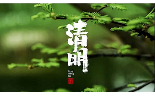 又是一年清明時(shí)｜睿豐機(jī)械期待與您一起踏青而行共賞繁花